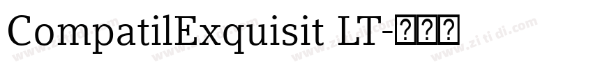 CompatilExquisit LT字体转换 CompatilExquisit LT字体转换